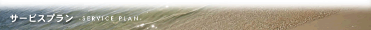 サービスプラン